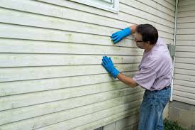 Affordable Siding Repair and Maintenance Services in Inverness, CA